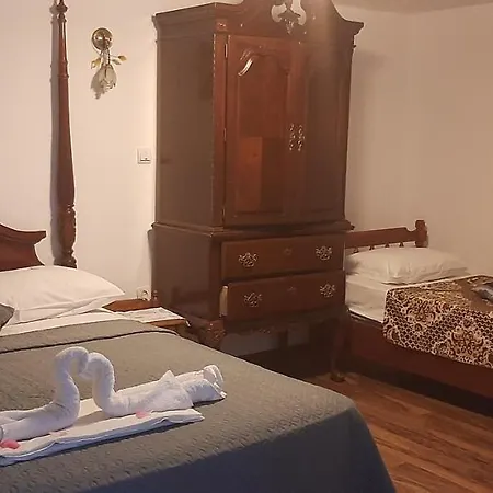 Pensiunea Albatros Guest house