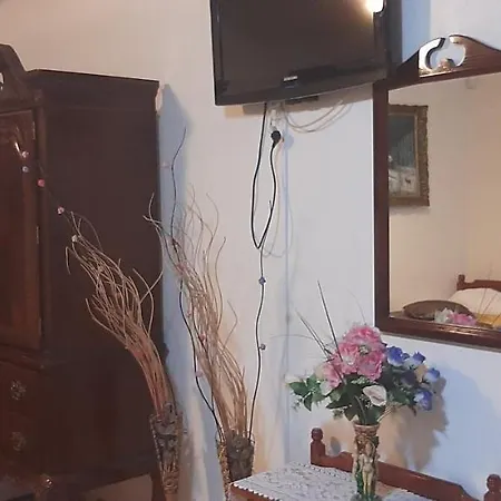 Pensiunea Albatros Guest house *