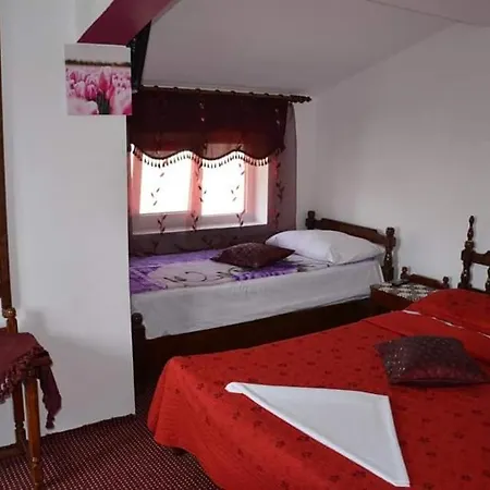 Pensiunea Albatros 3*