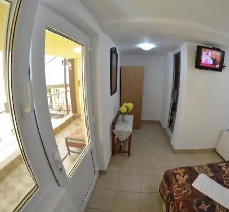 Pensiunea Albatros Guest house